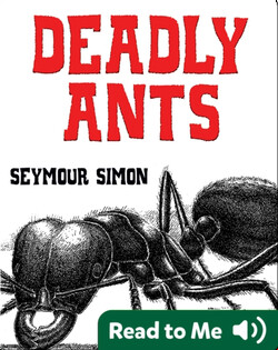 Deadly Ants