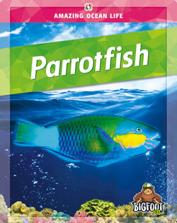Parrotfish