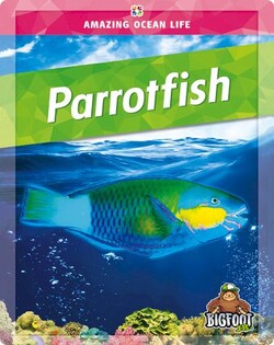 Parrotfish