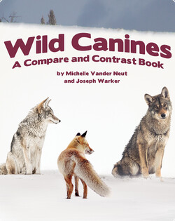 Wild Canines: A Compare and Contrast Book