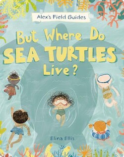 But Where Do Sea Turtles Live?