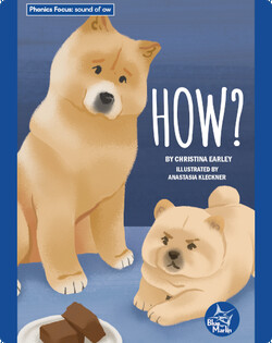 Phonics Focus: How?