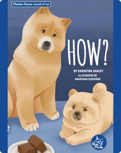Phonics Focus: How?