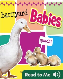 Barnyard Babies