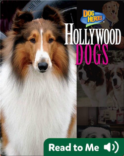 Hollywood Dogs