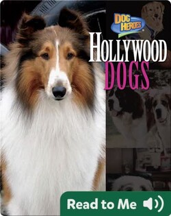 Hollywood Dogs