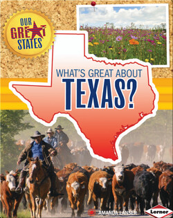 What's Great about Texas?