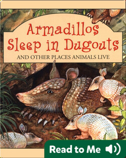 Armadillos Sleep In Dugouts And Other Places Animals Live