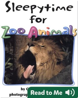 Sleepytime for Zoo Animals