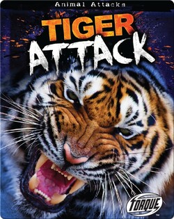 Tiger Attack