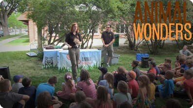 Bringing the Zoo to You!