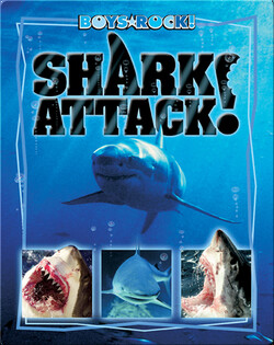 Shark Attack
