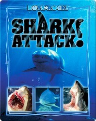 Shark Attack