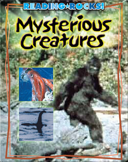 Mysterious Creatures