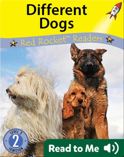 Different Dogs