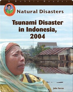 Tsunami Disaster in Indonesia, 2004