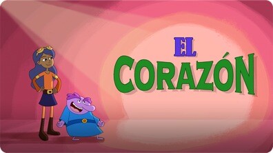 El corazón y el aparato circulatorio