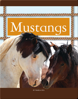Mustangs