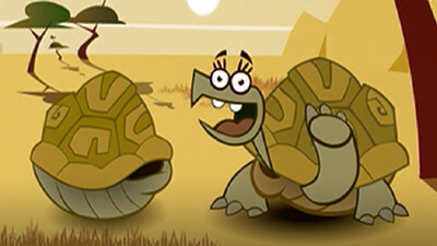 I'm a Turtle