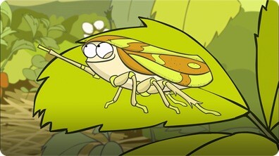 I'm a Froghopper