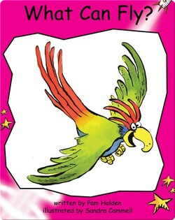 What Can Fly?