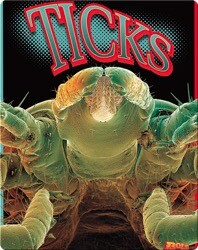 Ticks