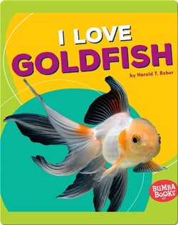I Love Goldfish