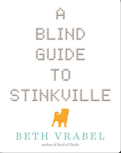 A Blind Guide to Stinkville