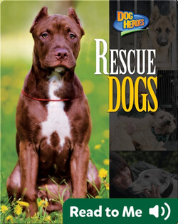 Rescue Dogs