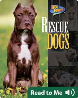 Rescue Dogs