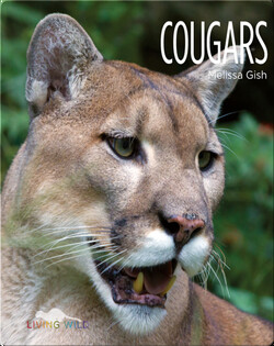 Cougars