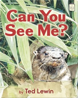 Can You See Me?