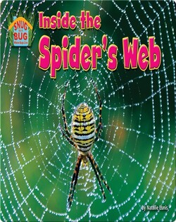 Inside the Spider’s Web