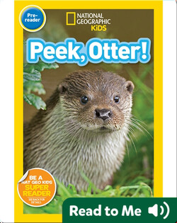 National Geographic Readers: Peek, Otter
