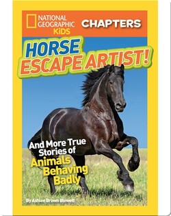 National Geographic Kids Chapters: Horse Escape Artist