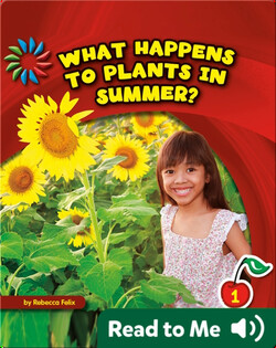 What Happens to Plants in Summer?
