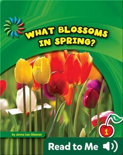 What Blossoms in Spring?