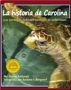 La historia de Carolina: ¡las tortugas marinas tambien se enferman!
