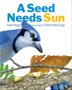 A Seed Needs Sun