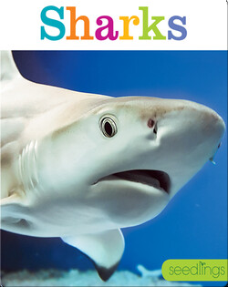 Sharks