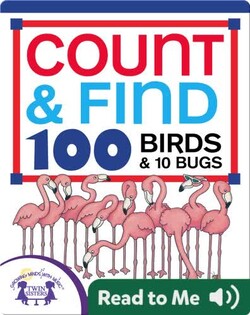 Count & Find 100 Birds and 10 Bugs