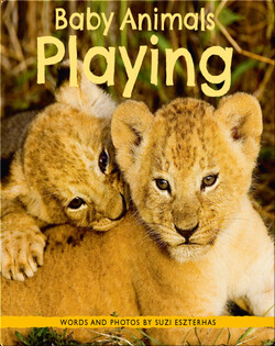 Baby Animals Playing