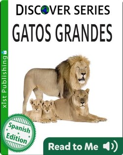 Gatos Grandes