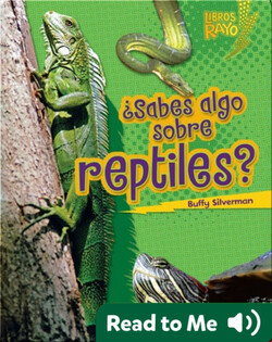 ¿Sabes algo sobre reptiles? (Do You Know about Reptiles?)