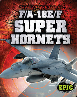 F/A-18E/F Super Hornets