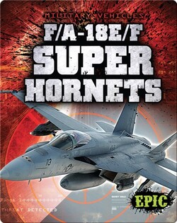 F/A-18E/F Super Hornets