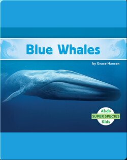 Blue Whales