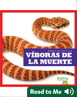 Víboras de la muerte (Death Adders)