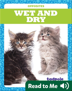 Wet and Dry