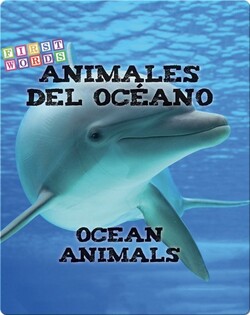 Animales del océano / Ocean Animals